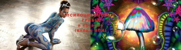 стаф Алексеевка
