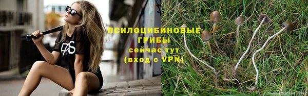 стаф Алексеевка