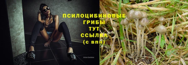 стаф Алексеевка