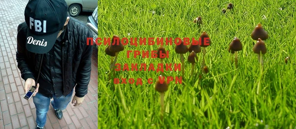 герыч Алексин