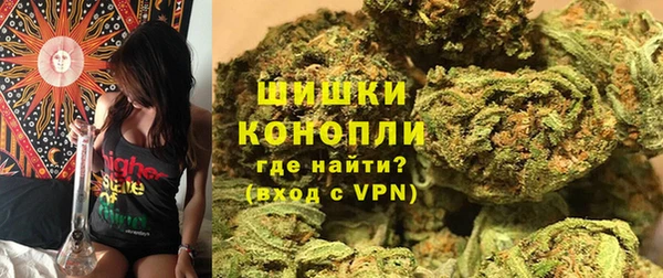 spice Алзамай