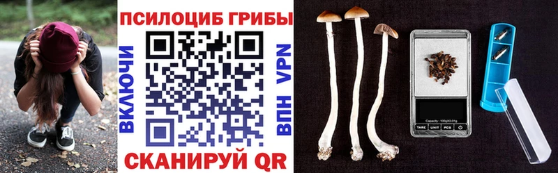 где найти наркотики  Апатиты  Галлюциногенные грибы прущие грибы 