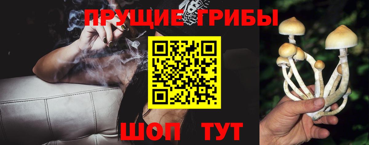 Галлюциногенные грибы ЛСД  Псилоцибиновые грибы прущие грибы  Апатиты  цены   Вход с VPN 